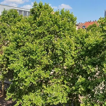 Gemuetliches In Mannheims Stadtmitte * מאנהיים